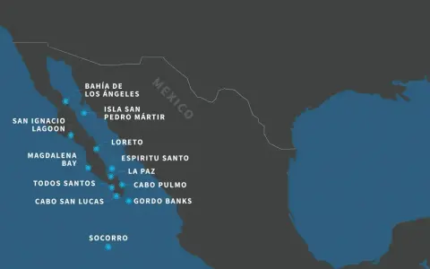 Mapa pokazuje miejsca na Półwyspie Kalifornijskim, które warto odwiedzić, kiedy do Meksyku.
