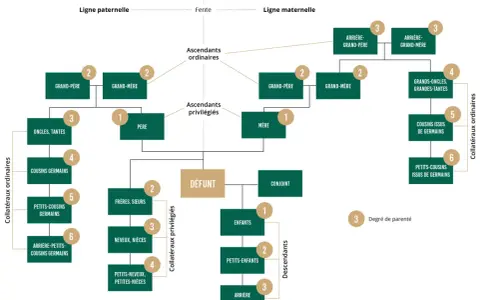 Arbre généalogique montrant comment retrouver les descendants d'une personne décédée, avec les liens familiaux et les degrés de parenté.