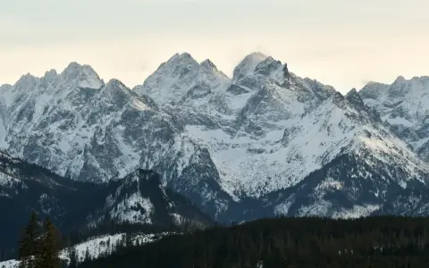Zimowa korona gór polskich, pełna ośnieżonych szczytów, wznosi się majestatycznie nad ciemnym lasem.