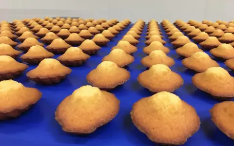Des madeleines dorées, une spécialité de Caen, alignées sur un fond bleu.