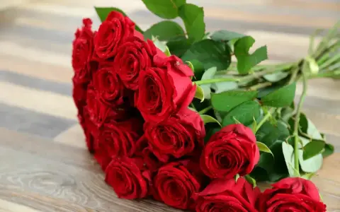 Piękny bukiet czerwonych róż, każda z kropelkami rosy, leży na drewnianym tle. Te dwie róże są częścią większej, romantycznej kompozycji.