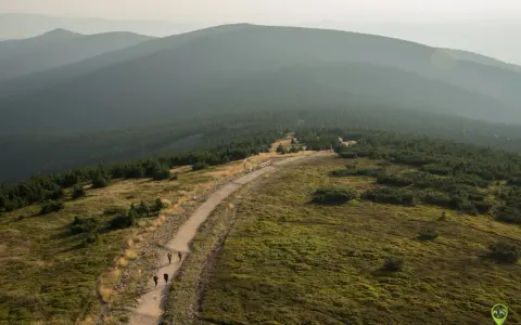 Widok na pasmo górskie Śnieżnik, gdzie szlak prowadzi przez trawiaste zbocza i lasy.