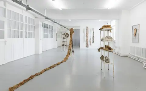 Academie der schönsten Künste Stuttgart: Events & Genuss