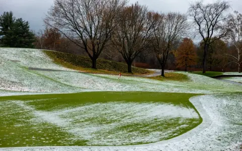 A golf course with patches of pink snow mold on the green grass, trees with bare branches, and a cloudy sky.