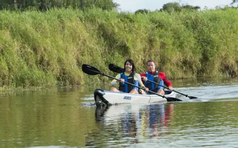 Zwei Personen paddeln in einem Kajak auf einem ruhigen Fluss, umgeben von üppigem grünen Ufergras. Sie genießen die Natur, vielleicht auf der Suche nach einem majestätischen Seeadler.