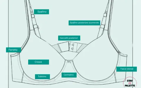 Schema tecnico di un reggiseno con etichette per le parti: spallino, ferretto, coppa, tubicino, centralino, gancetti posteriori, fasce laterali.