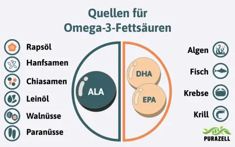 Quellen für Omega-3-Fettsäuren: Rapsöl, Hanfsamen, Chiasamen, Leinöl, Walnüsse, Paranüsse, Algen, Fisch, Krebse, Krill. Die Grafik zeigt, wieviel Omega 3 am Tag man zu sich nehmen kann.