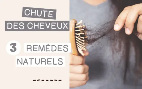 Main d'une personne tenant une brosse à cheveux avec des cheveux tombés, suggérant des remèdes naturels pour faire repousser les cheveux.