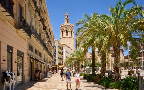 Passeggiata in una via di Valencia con palme e la torre della cattedrale. Ideale per percorsi a piedi.