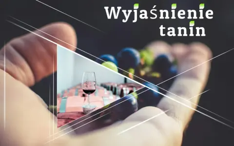 Wyjaśnienie tanin w winie. Kieliszek czerwonego wina, winogrona i beczki w tle.