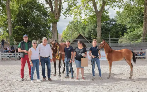 L'élevage de poney de sport présente ses jeunes champions. Une famille fière pose avec ses poulains primés.