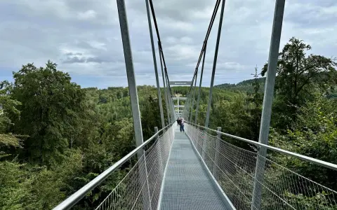Blick über den Willingen Skywalk in eine grüne Waldlandschaft. Menschen spazieren auf dem Hängebrückenweg.