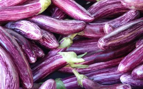 Un tas d'aubergines zébrées, parfaites pour une recette d'aubergine savoureuse.