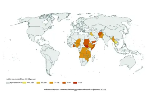 Världskarta som visar kolerafall per 100 000 personer. Mörka områden i Afrika och Asien indikerar högre smittspridning, vilket ger en bild av hur smittar kolera.
