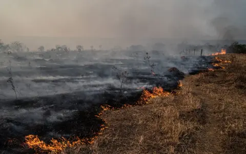 Metan gaz cieplarniany: 80x silniejszy od CO2. Co dalej?