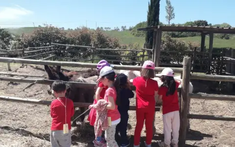 Bambini in visita a una fattoria vicino Firenze, osservano curiosi gli asini e altri animali nel recinto.