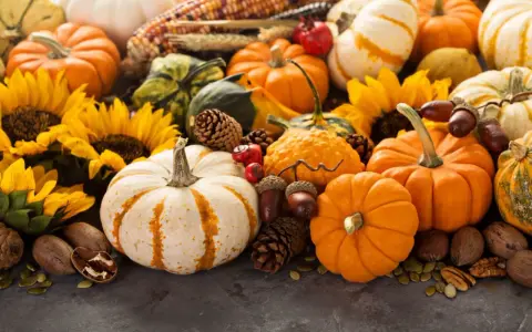 A festive autumn display featuring a variety of pumpkins, gourds, sunflowers, pinecones, acorns, and nuts.