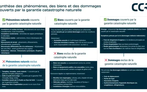 Synthèse des phénomènes, biens et dommages couverts par la garantie catastrophe naturelle. Inclut les biens et dommages couverts, ainsi que les exclusions, pour une meilleure compréhension de la catastrophe naturelle.