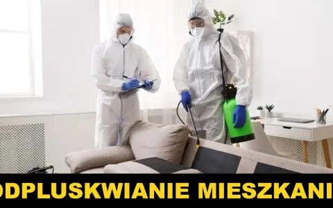 Jak przygotować mieszkanie do odpluskwiania - uniknij błędów i stresu