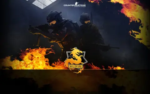 Skrzynia Wildfire CS2: Nóż Bowie, AK-47 i opłacalność w 2026?