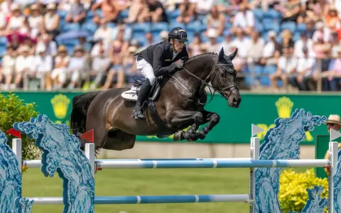 Cavalier en plein saut d'obstacles, le cheval est en l'air, le cavalier porte un casque noir. Le public est en arrière-plan.