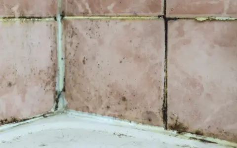 Moisissure noire et saleté sur les joints de carrelage rose dans un coin de salle de bain. Il est temps d'enlever l'odeur d'humidité de la salle de bain.
