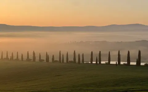 Alba nebbiosa in Toscana Val d'Orcia, con filari di cipressi che costeggiano una strada, colline sfumate e un cielo aranciato.