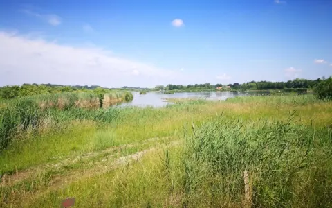Idyllische Naturlandschaft mit Schilf und einem See, Heimat vieler Wasservögel, in der Gemeinde Wettringen.
