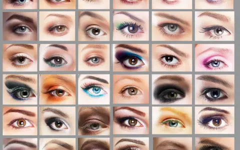 Collection de formes des yeux maquillés, aux couleurs et styles variés, du naturel au plus audacieux.