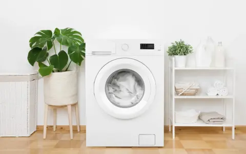 Machine à laver blanche, prête pour un cycle. La profondeur de son tambour est idéale pour une famille. À côté, un panier à linge et des plantes vertes.