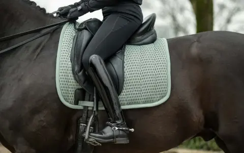 Jeździec w czarnych bryczesach i lśniących butach siedzi na ciemnym koniu. Widać siodło, czaprak i wodze – kompletne wyposażenie konia do jazdy.