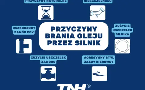 Grafika przedstawia przyczyny brania oleju przez silnik: zużycie uszczelek, nieszczelność, uszkodzony zawór PCV, agresywny styl jazdy i naturalne zużycie.