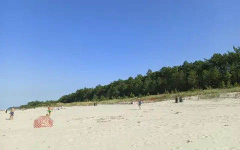 Słoneczny dzień na plaży w Karwi. Ludzie spacerują po piasku, w tle las.
