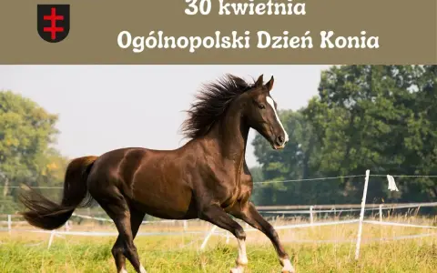 Dzień Konia: Kiedy i jak świętować? Poznaj historię 30 kwietnia!