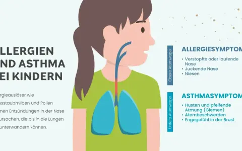 Illustration zeigt ein Kind mit Lungen und Atemwegen. Text erklärt Allergien und Asthma bei Kindern, Symptome wie Husten und Niesen.