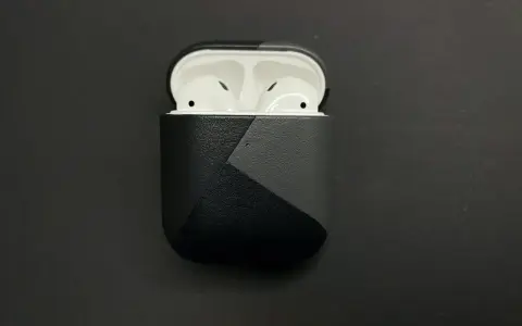 AirPods in einer schwarzen Hülle mit grauem geometrischem Muster.