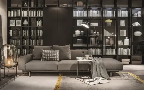 Elegante soggiorno con divano grigio, tavolino e una maestosa lema parete attrezzata piena di libri e oggetti decorativi.