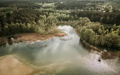 Malownicze jezioro Świętajno otoczone lasami i trzcinami. W oddali widać zabudowania.