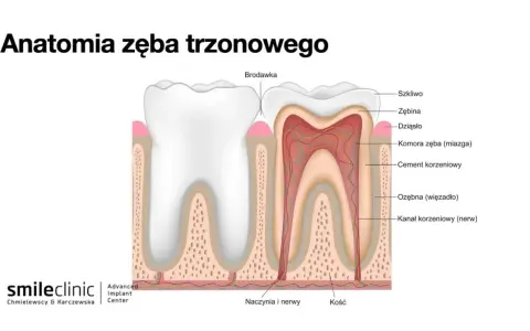 Ból po leczeniu kanałowym: normalne czy niepokojące? Poradnik