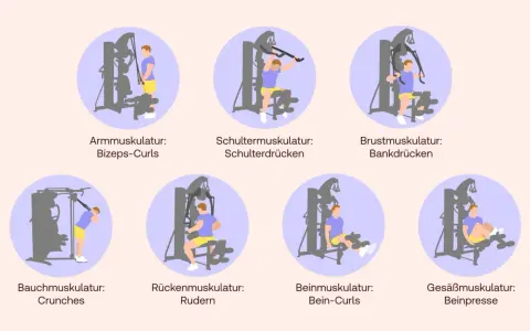 Illustrationen zeigen verschiedene Übungen für Kraftsport zu Hause an einem Gerät: Bizeps-Curls, Schulterdrücken, Bankdrücken, Crunches, Rudern, Bein-Curls und Beinpresse.