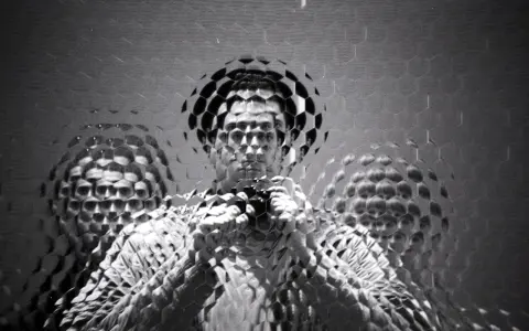 Autoritratto fotografico con volto multiplo e distorto da un effetto a nido d'ape.