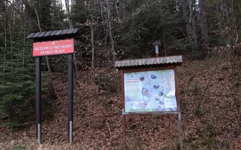 Tablica informacyjna w rezerwacie przyrody Diable Skały. Na tablicy mapa szlaków i opis atrakcji.