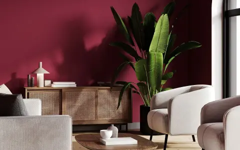 Nowoczesny salon z burgundową ścianą. Jasne fotele i sofa, drewniana komoda z rattanowymi frontami, duża roślina i stolik kawowy. Idealne inspiracje, z czym łączyć burgund.