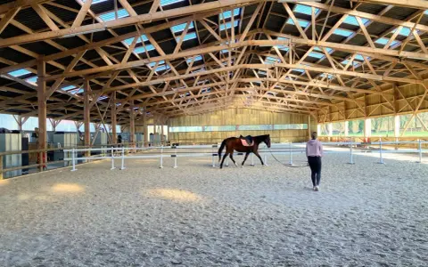 Cheval brun dans un manège d'équitation, guidé par une personne. La structure en bois du toit est visible.