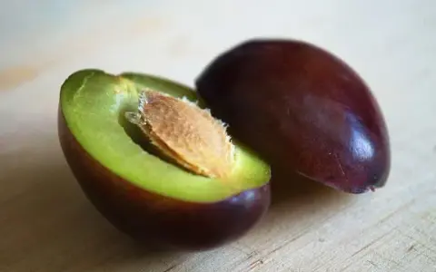Kiedy sezon na śliwki? Odkryj, jak cieszyć się świeżymi owocami