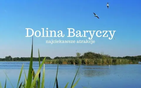 Dolina Baryczy, malowniczy krajobraz z wodą, trzcinami i ptakami w locie. Odkryj najciekawsze atrakcje tego miejsca.