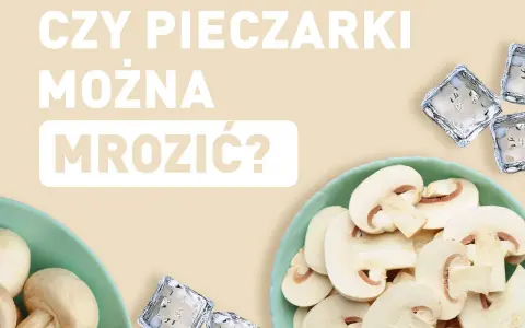 Czy pieczarki można mrozić? Na talerzu świeże pieczarki i kostki lodu.