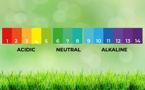 Scala pH: da rosso (acido) a viola (alcalino). Utile per capire come acidificare l'acqua per i trattamenti.