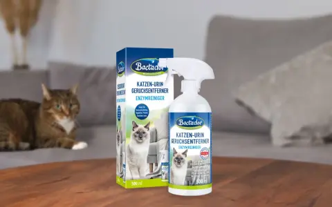 Bactador Enzymreiniger zur effektiven Beseitigung von Katzenurin-Gerüchen. Ein brauner Kater liegt im Hintergrund auf einem Sofa.