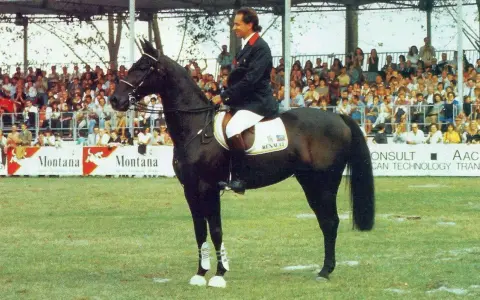 Un cavalier sur Jappeloup, un cheval noir à la taille impressionnante, devant une foule en délire.
